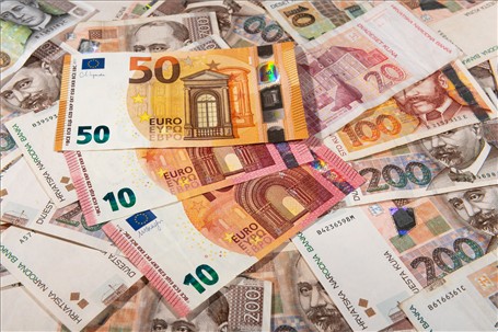 Temeljni kapital u eurima